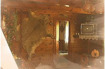 Cehia Chata Nová Paka, Exteriorul